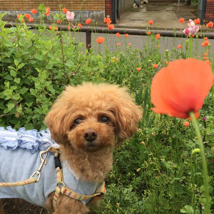 2b421aee 09d5 4b5c ad3b a8e0b0f41493