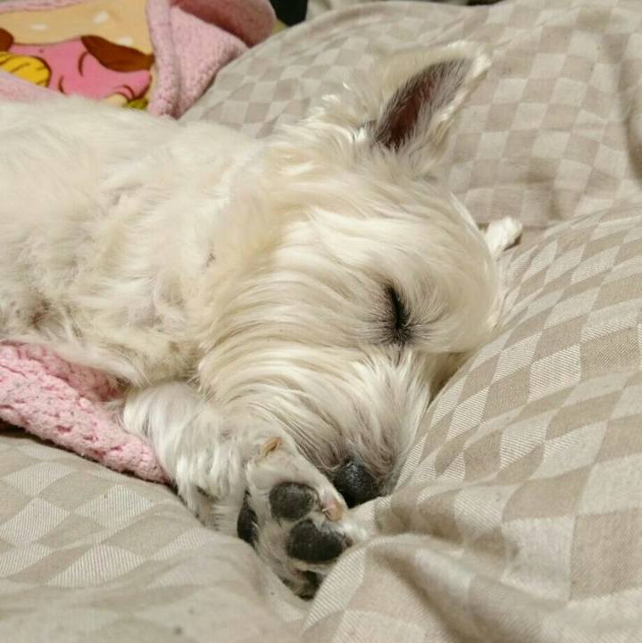 2b421e7a 5b4e 4936 a646 b4122836a073