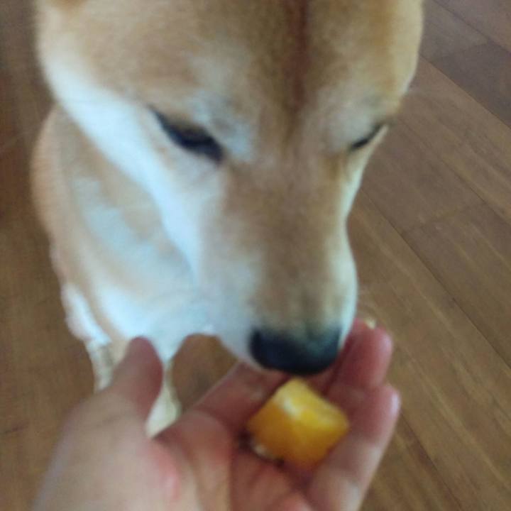 2b42e2a6 8003 47cb 8df3 3135fdfa2375