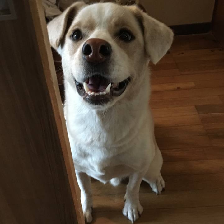 2b438f04 bf99 4f2b 8fcb fdb5e3000ec7