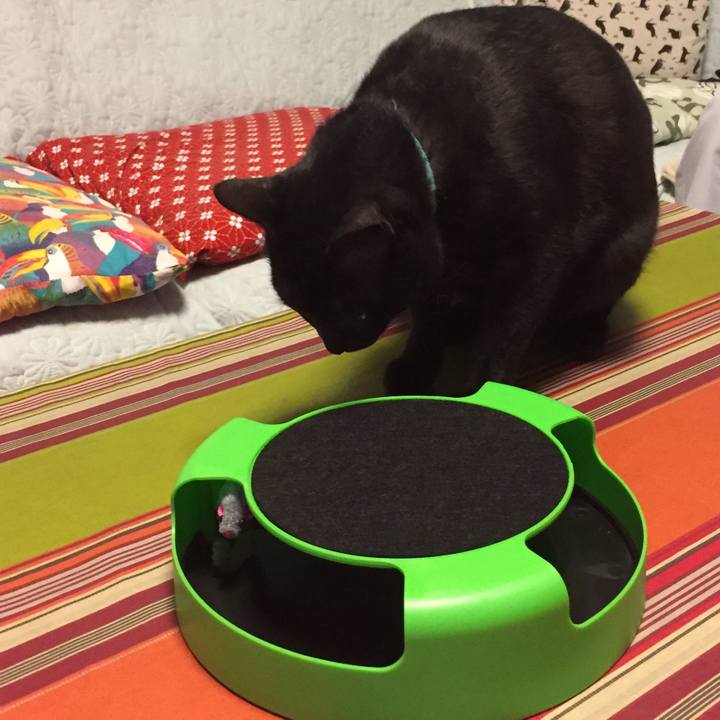 2b43acfd 76f0 4277 936f 2c9658cf7cc6