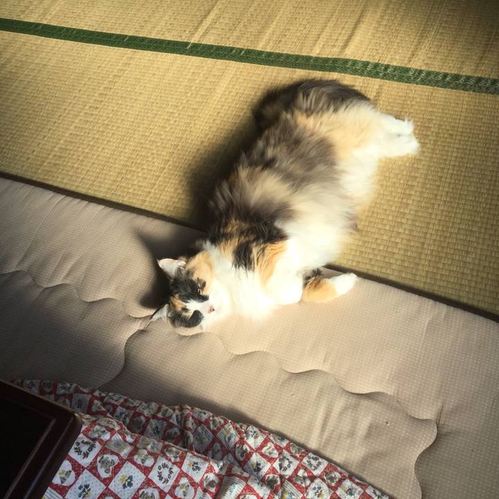 2b442e0d 7fc3 4673 90a6 5fef2b7c5e00