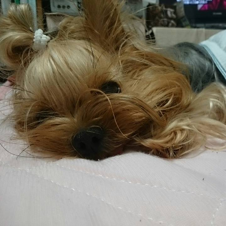 2b444055 ea11 49ae 9284 5a4a3400295d