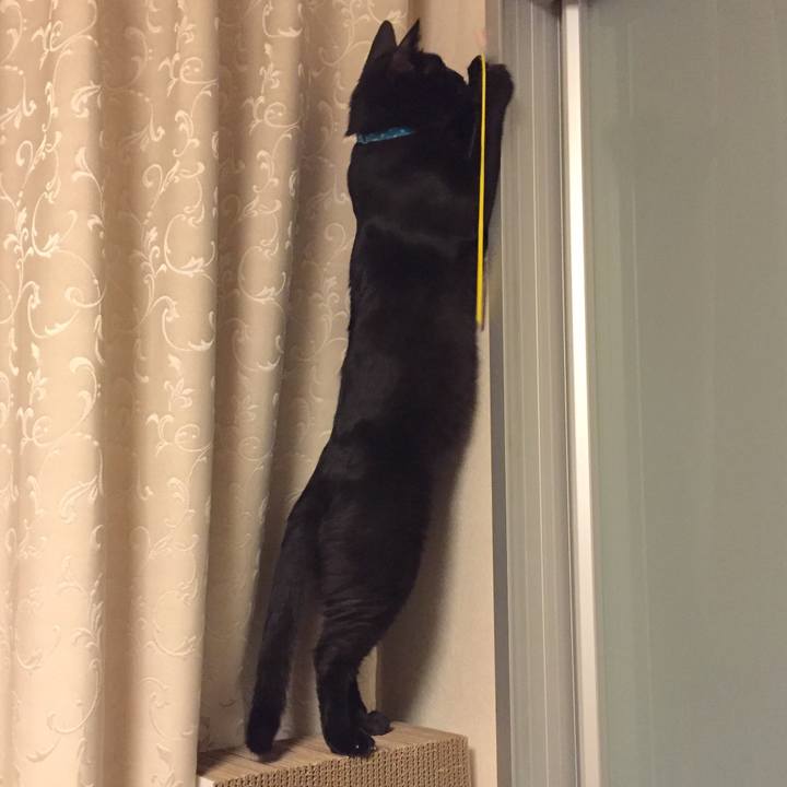 2b44540a 04df 417f abb1 b560d72904ba