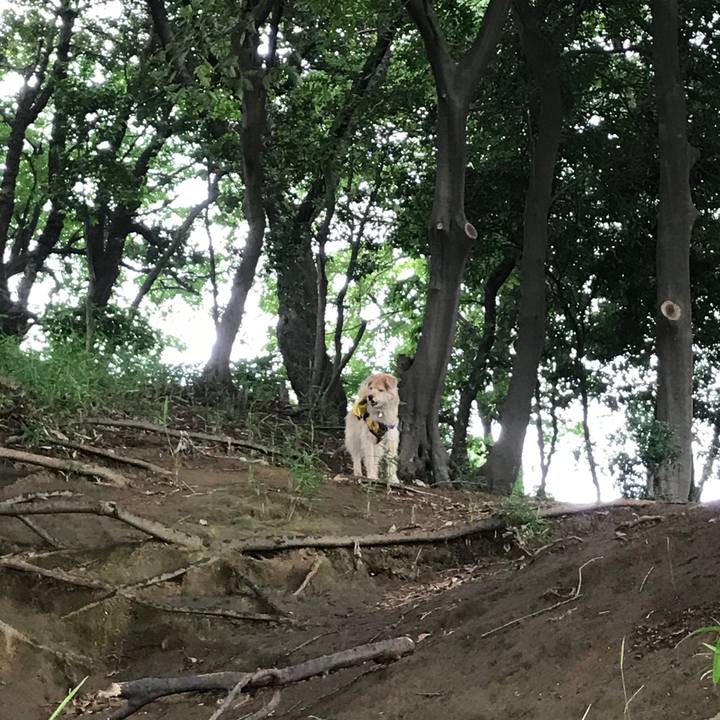 2b44f048 0eb7 4854 9e96 c2f9361bc8f7