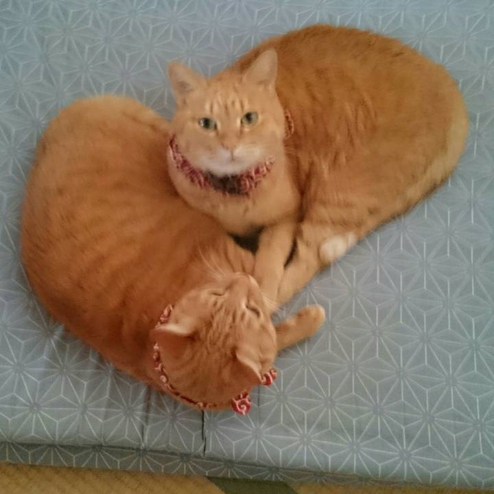 2b463e14 ac1c 46ee 839e 38cf67047e27