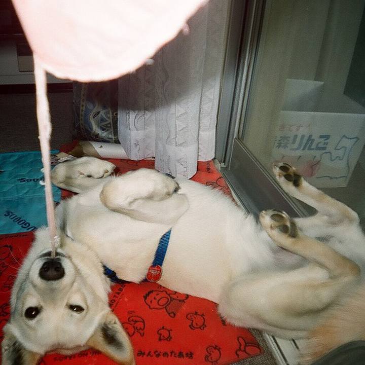 2b469650 ba95 4039 bc9b a32d0454e8dc