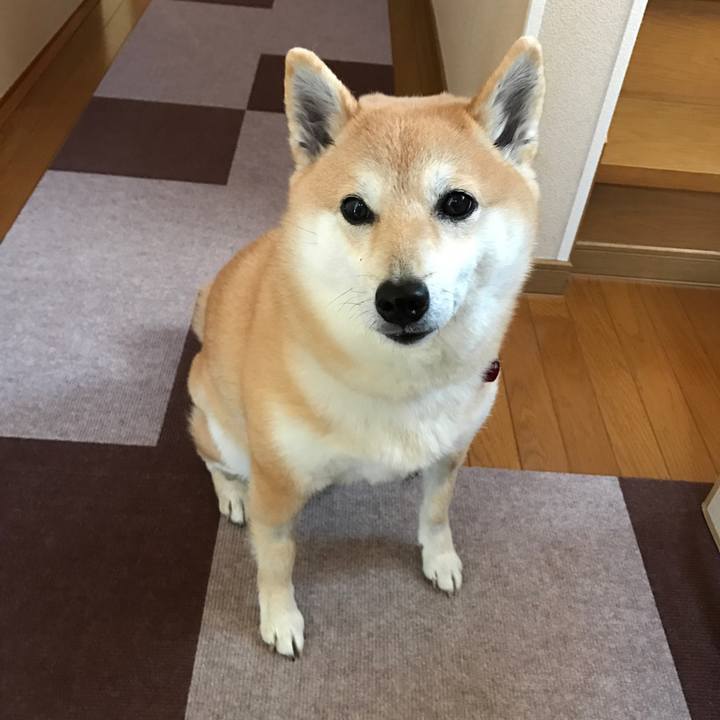 2b46b995 fa73 440a 937a 4af84bb62435