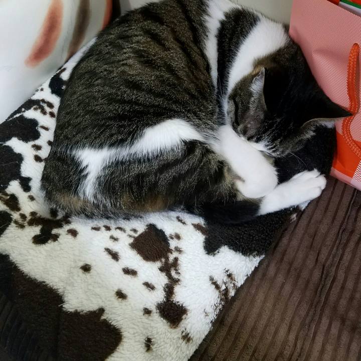 2b46f732 1088 4fcf 9e47 5c311f664759