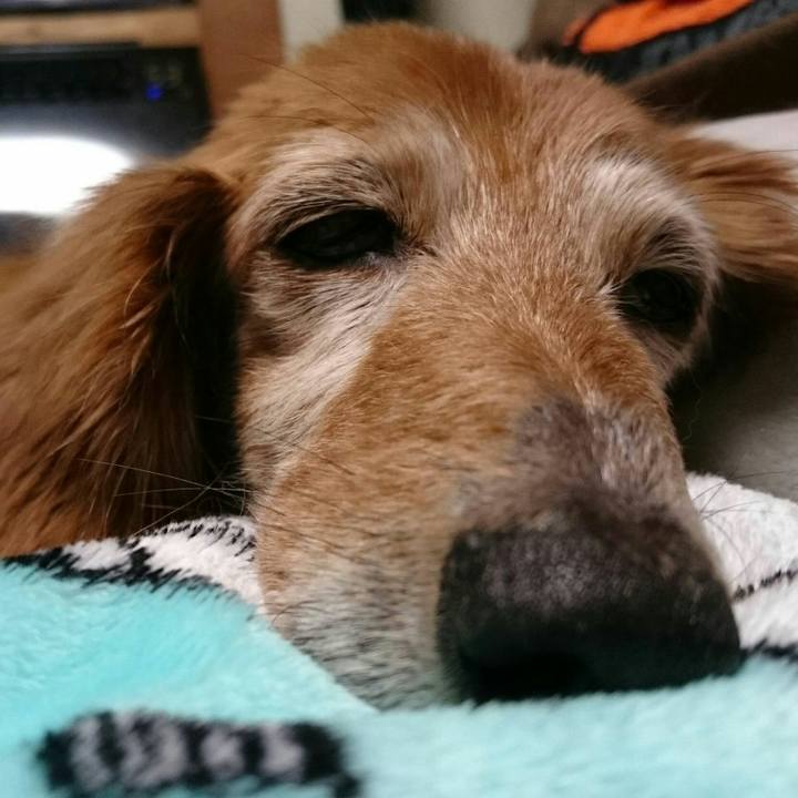 2b478331 675c 4f61 84cf 45707bfd3567