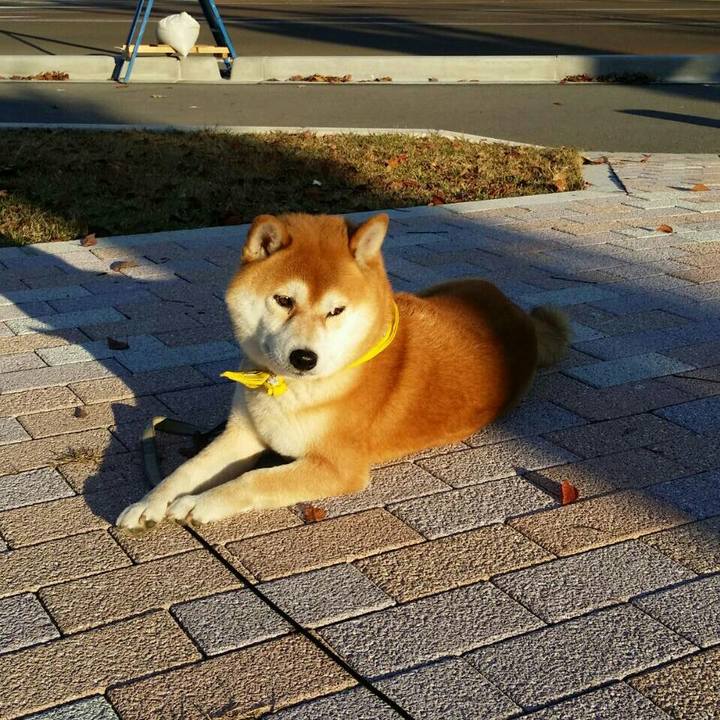 2b4866c1 f14d 413c bf52 603703124bff