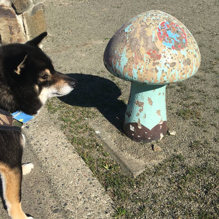 2b486d3c 4d43 4cb8 a89b a98b375d4bf7