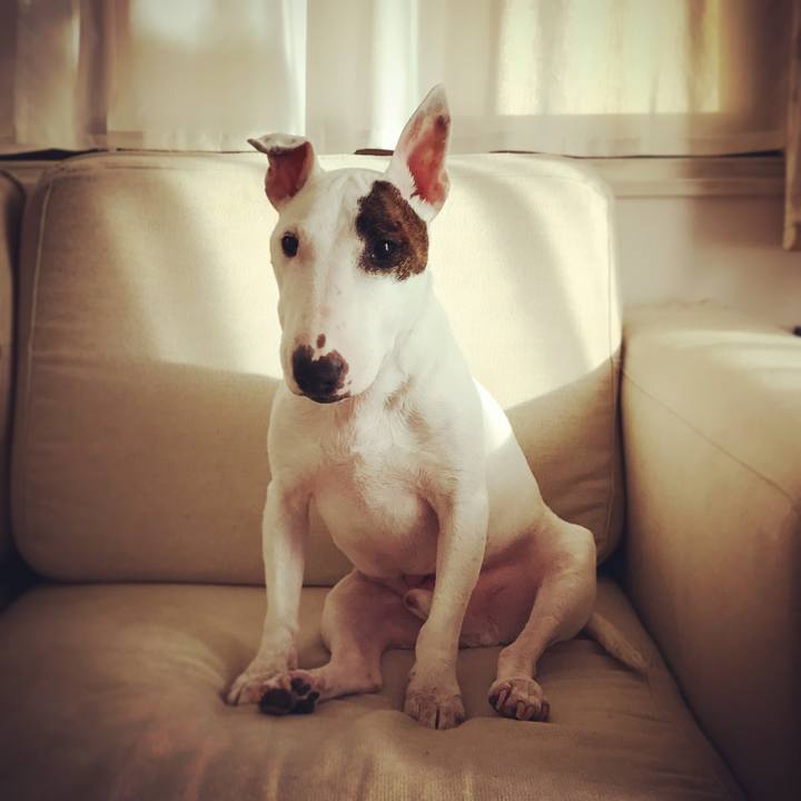 2b4892c3 0b91 4106 8ce7 8bad9ed3f841