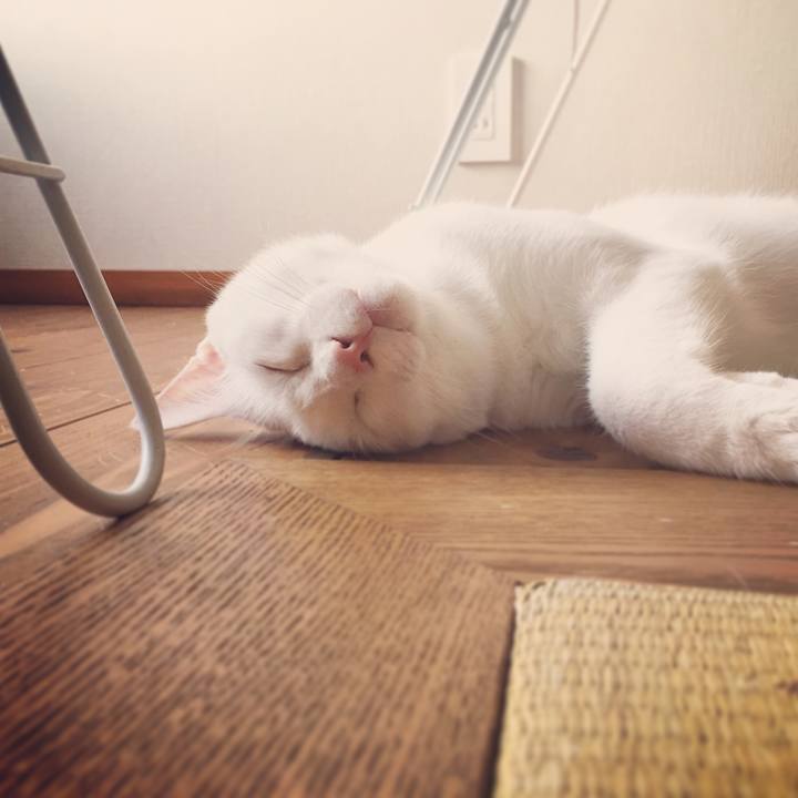 2b48c7c2 602a 4066 bf71 6a808e8eda02