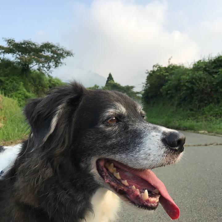 2b48d3a0 11b2 40c7 b4e5 f6ee008e6f6e