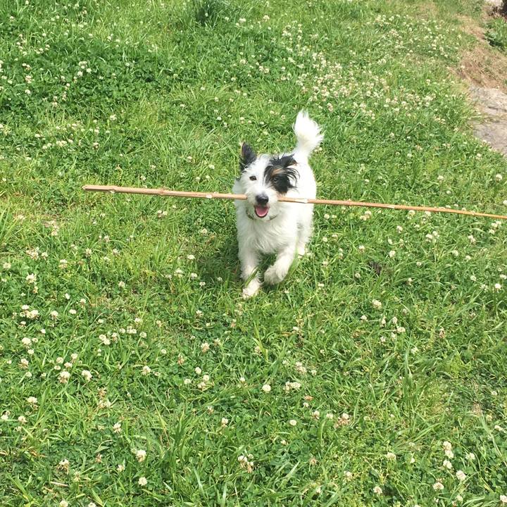 2b4988fd 6c35 4c0f 85f8 2677e80f82d1