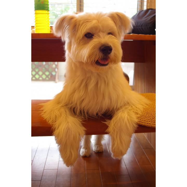 2b49a2b0 5f33 4732 9fdd 2ebfb450abb0