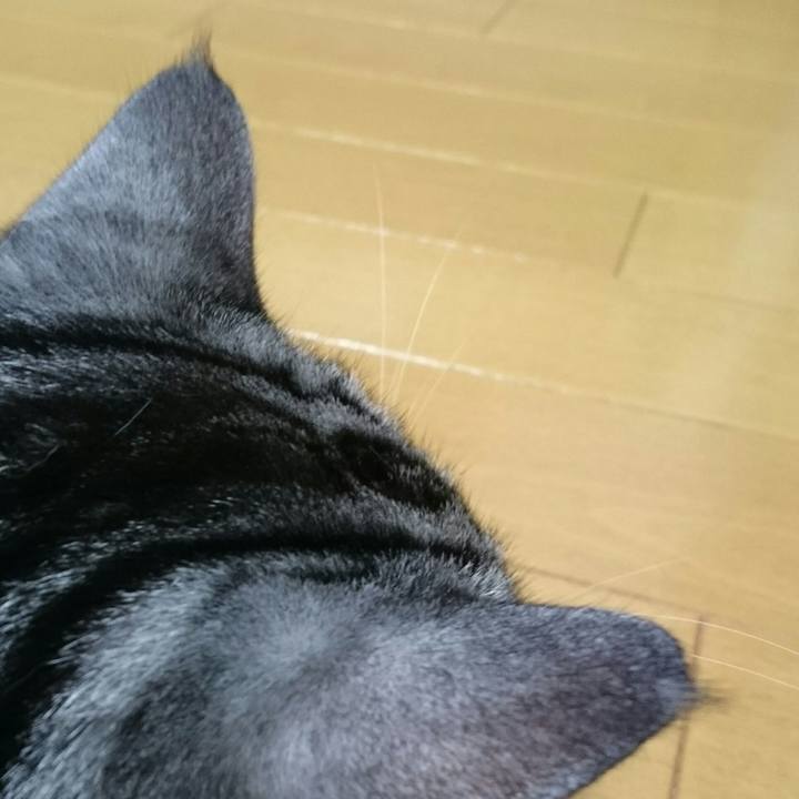 2b49f9f0 9a9e 4655 95b1 ca4117d05ece