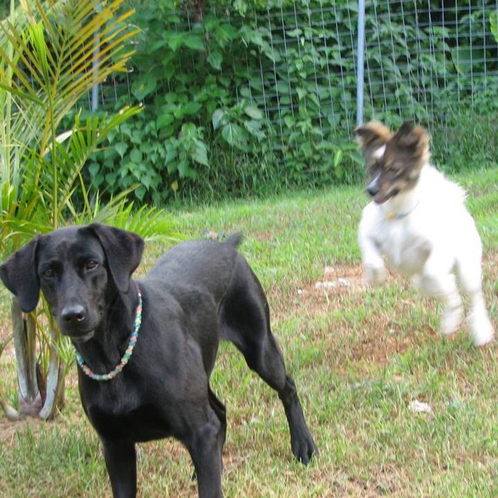 2b4a69e6 646b 4976 bbbc f50358ccd5d5