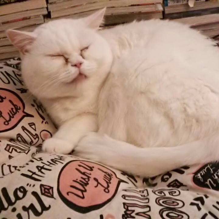 2b4b9155 3786 4b50 ba52 9b1d55b97804