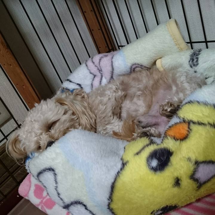 2b4bb776 606c 4aca 9a60 dd4874ed5459