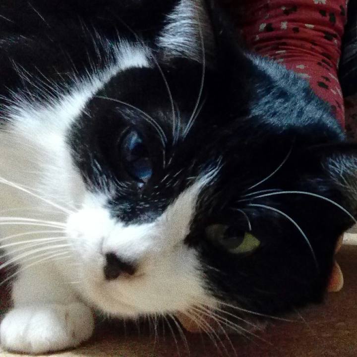 2b4bc1f6 c175 4a18 9012 6075594e5a98