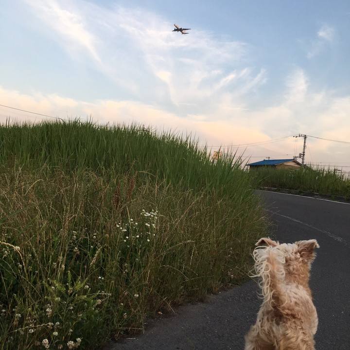 2b4bc479 ad3c 48b2 9241 eb42276c242a