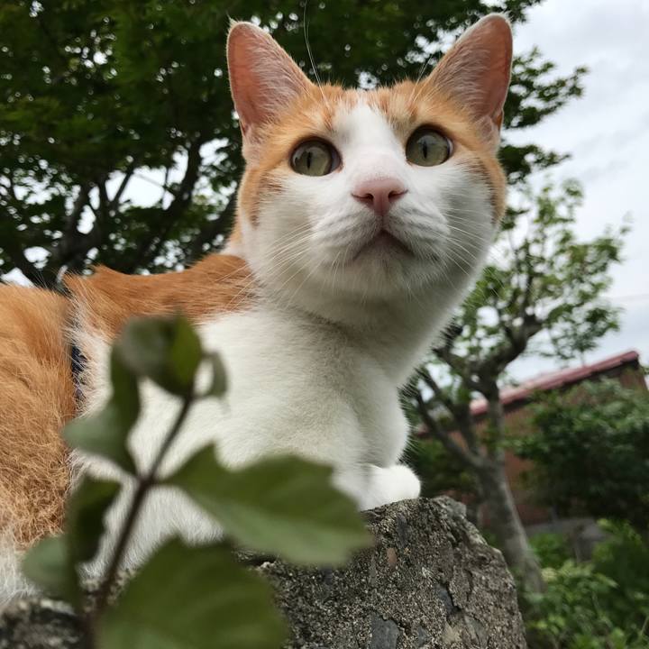 2b4beda6 b39a 4ee5 ab84 f3d49c9019e9