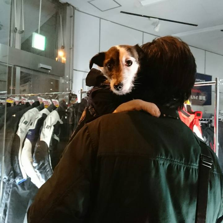 2b4c6e36 15f1 40ed a068 27295fbd4d85