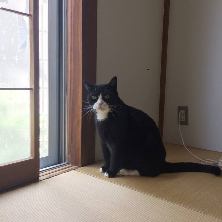 2b4c7449 2faf 43e7 b1cd fd65308284c7