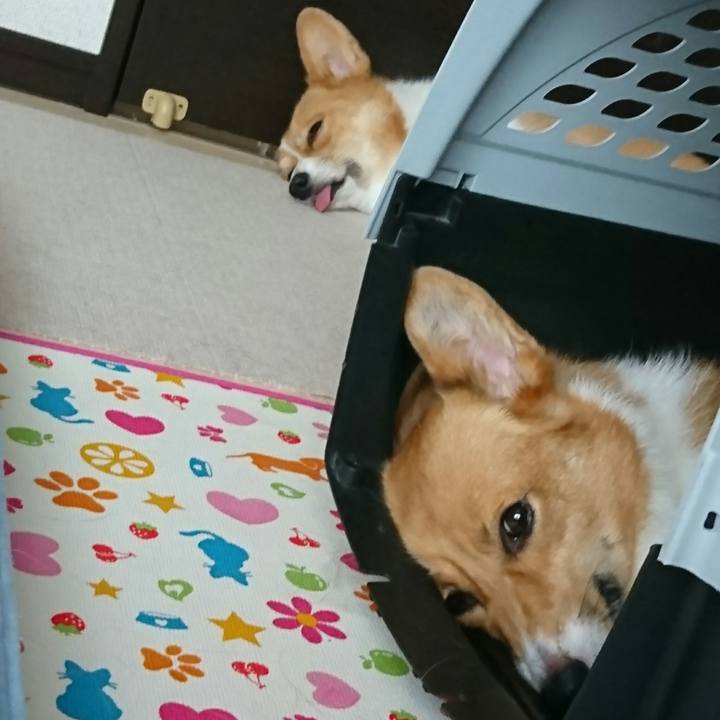 2b4d56b6 d83d 4e1a bbce 93f6d7d2306b