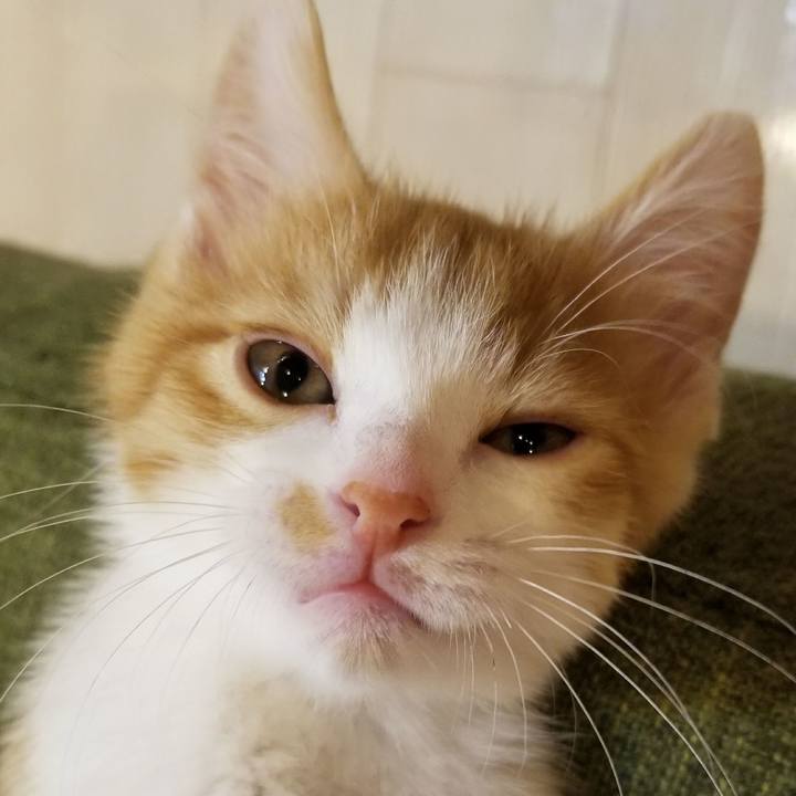 2b4dc02b 5e07 4cb8 af46 1f9e43316bf0