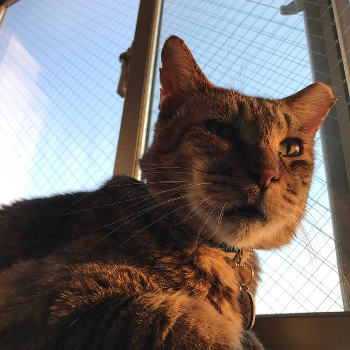 2b4e015c a61c 4fd6 91a1 762610cf33b8