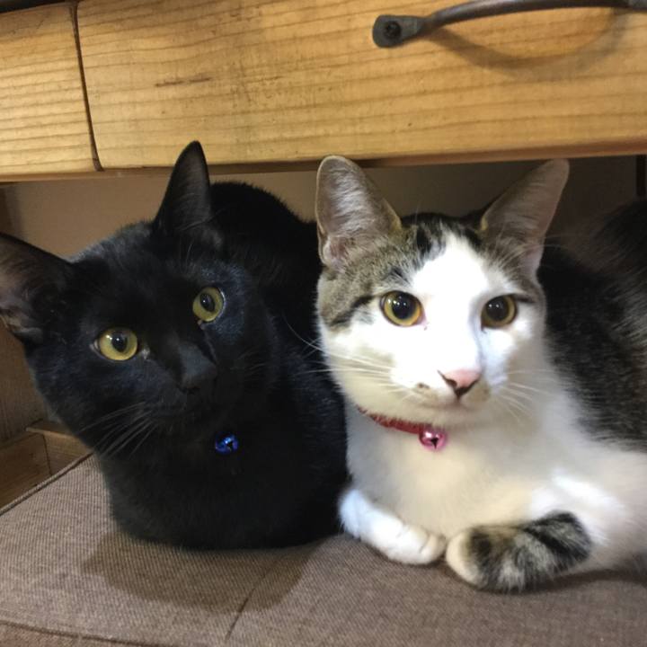 2b4e5603 2815 44e3 bcee 77447d22b805