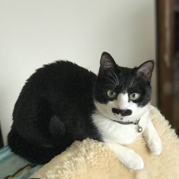 2b4e6a04 1cd7 4f72 ad58 3e20a1dd8063