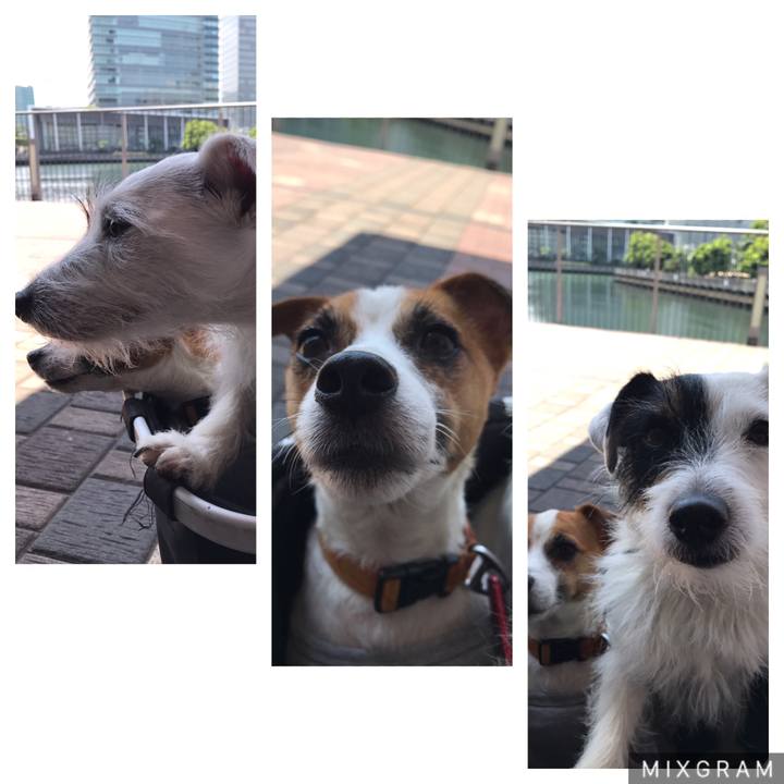 2b4e6b7c 4637 4897 a103 d01b49af18bb