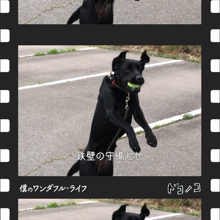 2b4e6c4c 72f7 4da4 810e 35dd0a447e40