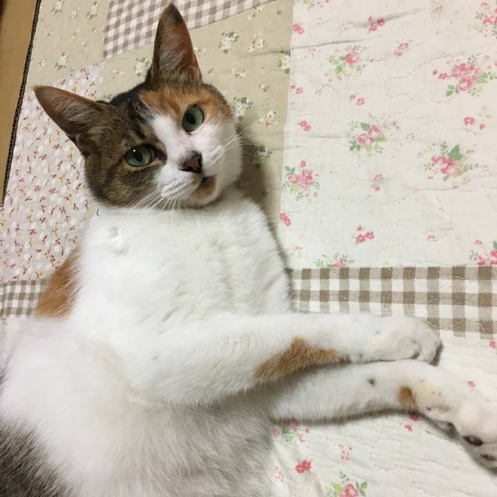 2b4ebb1e 94a8 4da1 bc7d 74176d270c3d