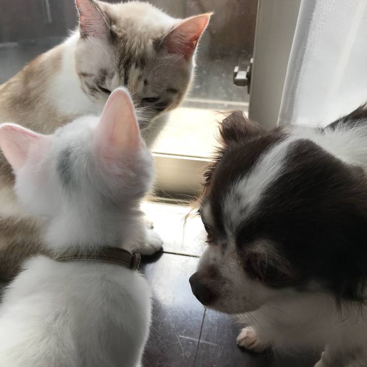 2b4fad94 fafb 40ea b26e 055e35989dcf