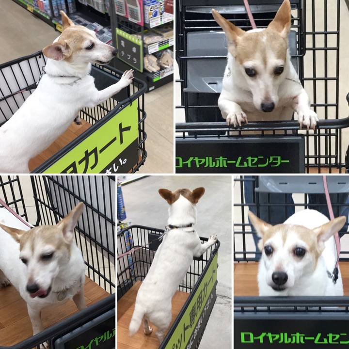 2b4ff44b 01c1 4f9c b74f 767725708a7a