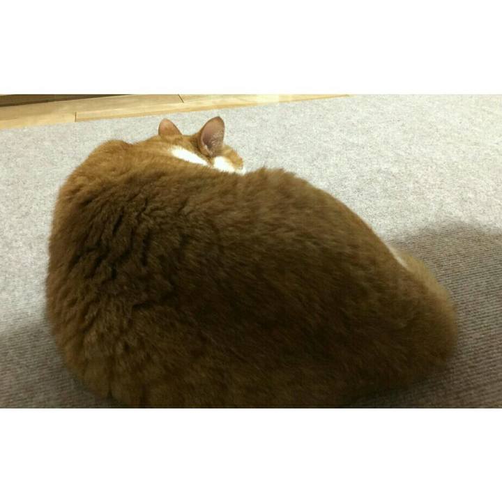 2b4ffb62 2d3b 45f9 8a26 5694b883e94d