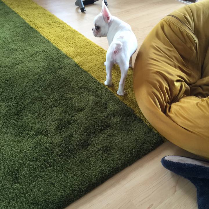 2b504abc 64db 4c4c 8f4c 54e9a5f47f7d