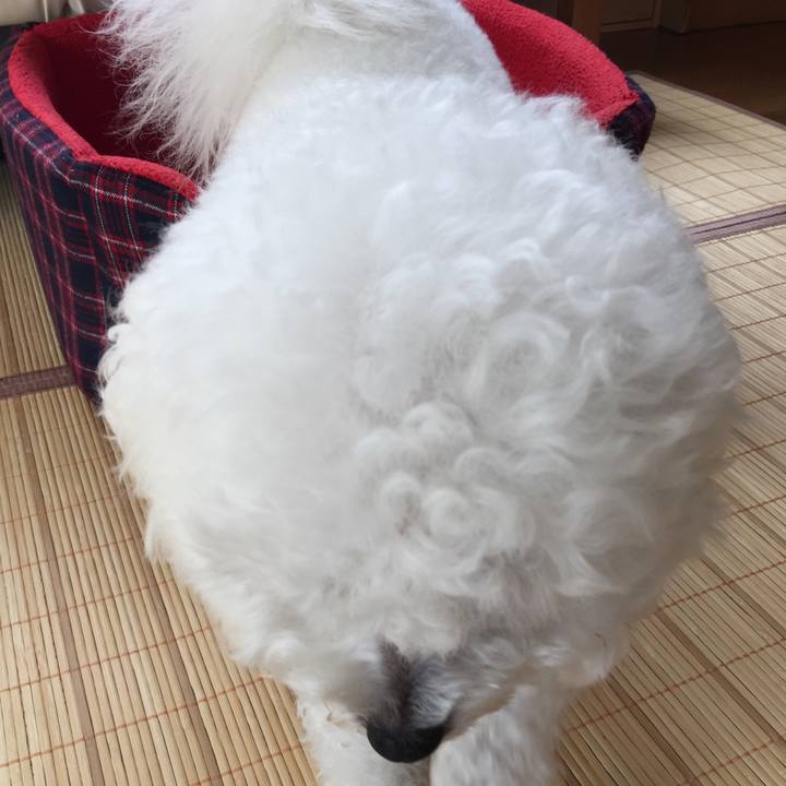 2b510716 4079 48a8 a41b d63b699c0f7d