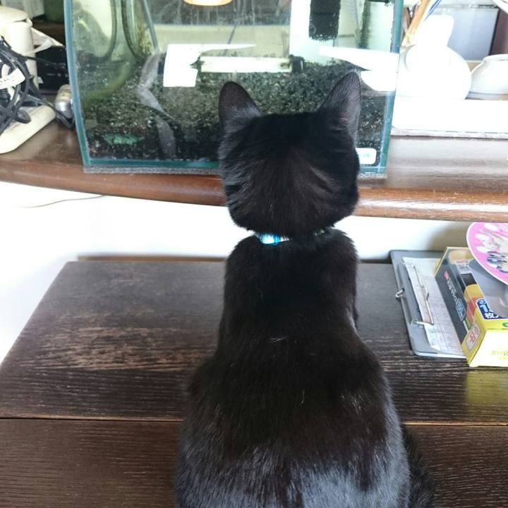 2b51d1c9 5804 4674 b764 8aa9d1f0ac4b