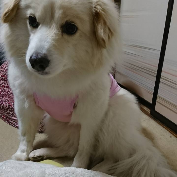 2b51fd0d 5795 4a89 8af9 3d5ddf01e667