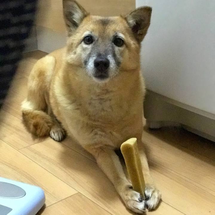 2b535bee 51be 4ae0 9b79 8dc15a318cff