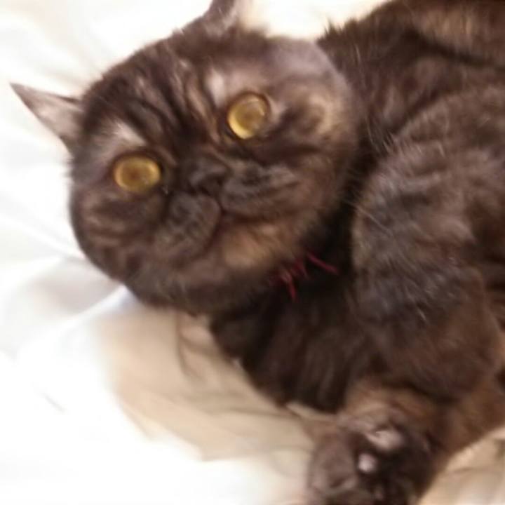 2b537e8d 724a 4b40 9c40 0a4a7dc5f7e5