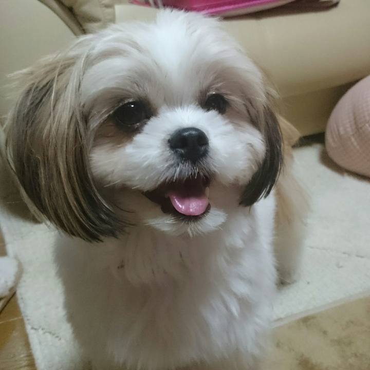 2b53bdab 5bb6 4d84 b776 240023fd4d6b