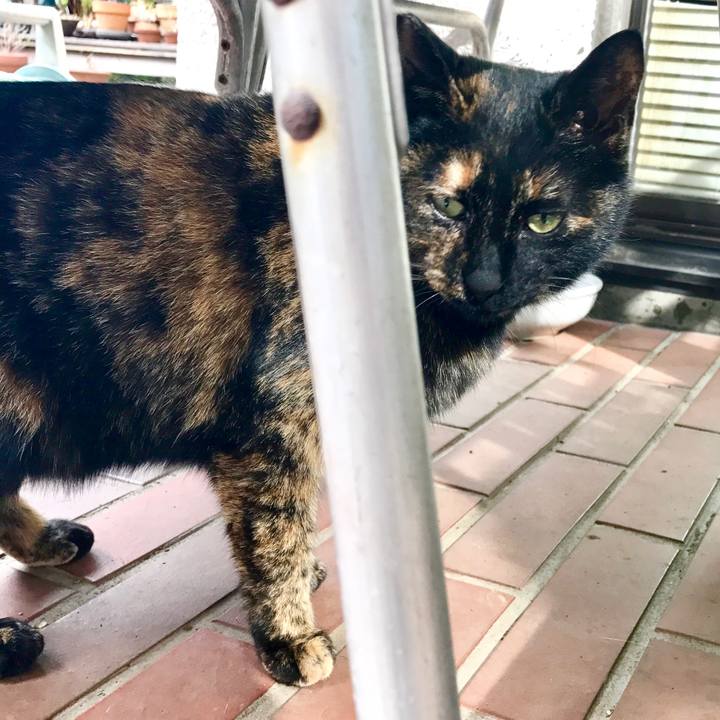 2b53fefc 0820 4176 bd5b 14f501e4c7db