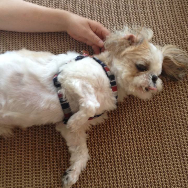 2b540259 cc6e 455e a59c bd547f089a02